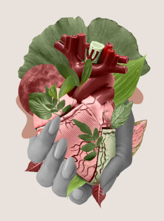 Anatomía emocional