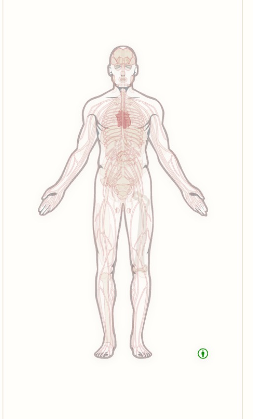 Anatomía emocional Método Qimera — territorios del cuerpo